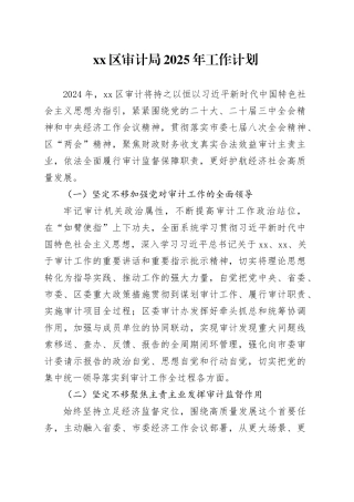 区审计局2025年工作计划