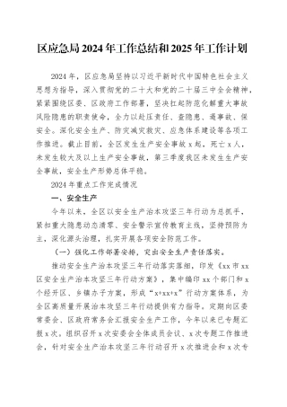 区应急局2024年工作总结和2025年工作计划