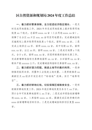 区自然资源和规划局2024年度工作总结
