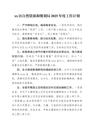 区自然资源和规划局2025年度工作计划