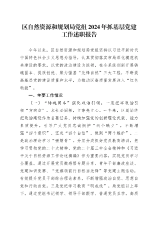 区自然资源和规划局党组2024年抓基层党建工作述职报告
