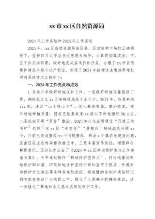 区自然资源局2024年工作总结和2025年工作谋划