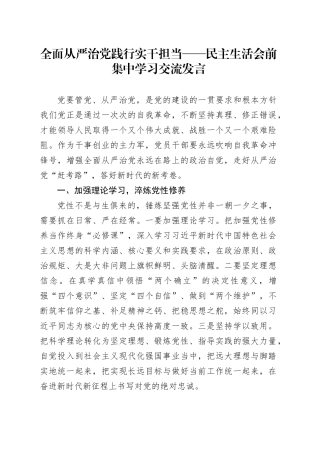 全面从严治党 践行实干担当——民主生活会前集中学习交流发言