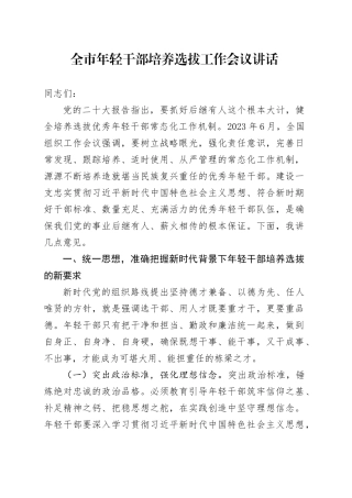 全市年轻干部培养选拔工作会议讲话20241204