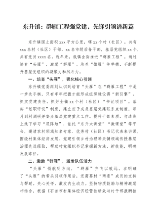 群雁工程强党建，先锋引领谱新篇