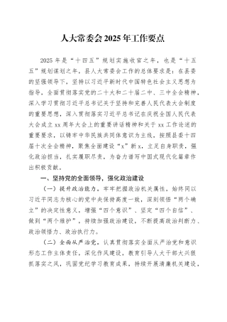 人大常委会2025年工作要点