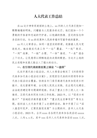 人大代表工作总结