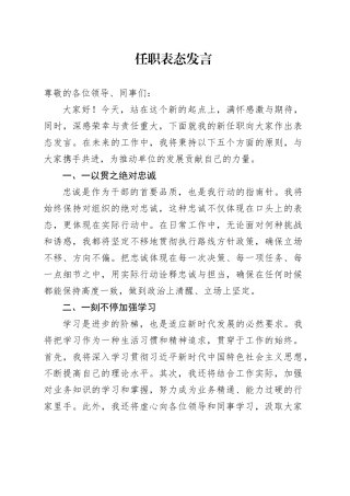 任职表态发言 （3）