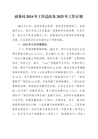 商务局2024年工作总结及2025年工作计划