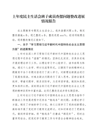 上年度民主生活会班子成员查摆问题整改进展情况报告工作汇报总结20250221