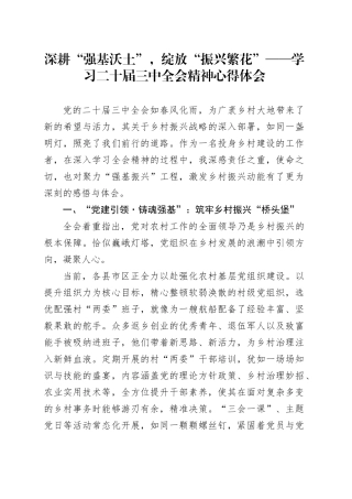 深耕“强基沃土”，绽放“振兴繁花”——学习二十届三中全会精神心得体会