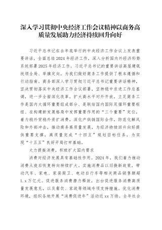 深入学习贯彻中央经济工作会议精神 以商务高质量发展助力经济持续回升向好