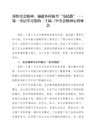 深悟全会精神，铺就乡村振兴“为民路”——第一书记学习党的二十届三中全会精神心得体会