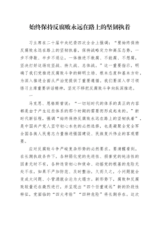 始终保持反腐败永远在路上的坚韧执着