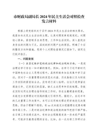 市财政局副局长2024年民主生活会对照检查发言材料