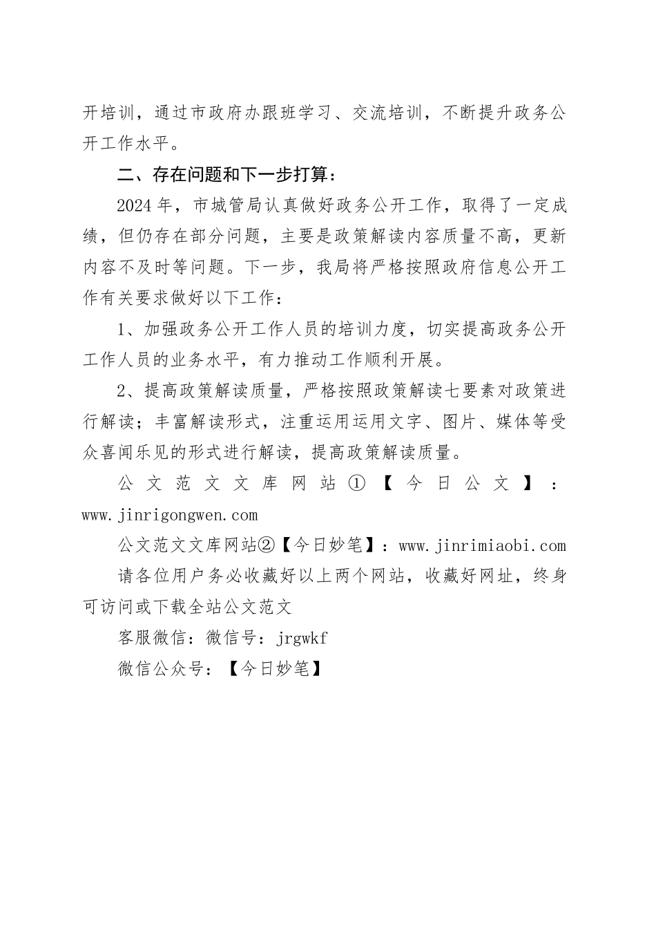 市城管局2024年政务公开工作总结_第2页