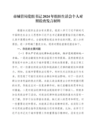 市城管局党组书记2024年组织生活会个人对照检查发言材料