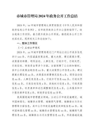市城市管理局2024年政务公开工作总结
