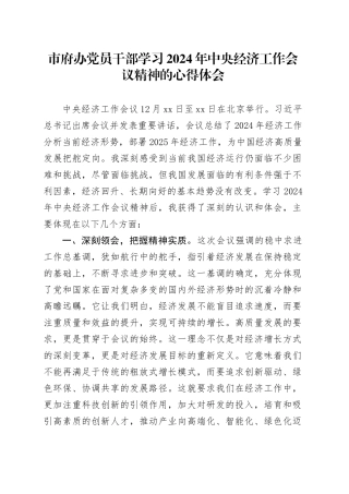 市府办党员干部学习2024年中央经济工作会议精神的心得体会
