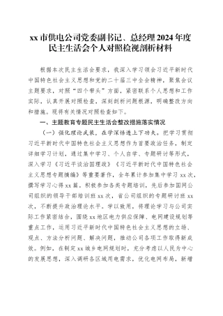 市供电公司党委副书记、总经理2024年度民主生活会个人对照检视剖析材料