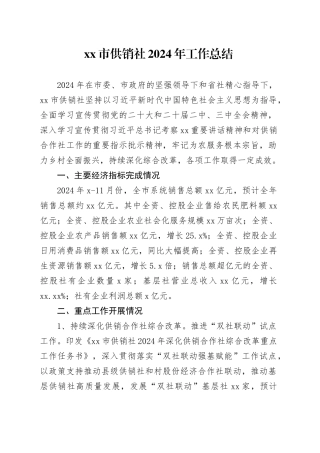 市供销社2024年工作总结