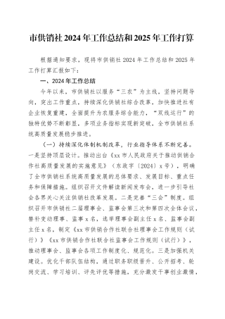 市供销社2024年工作总结和2025年工作打算