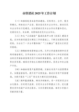 市供销社2025年工作计划