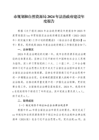 市规划和自然资源局2024年法治政府建设年度报告