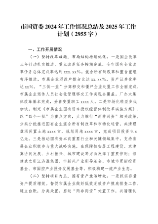 市国资委2024年工作情况总结及2025年工作计划（2955字）