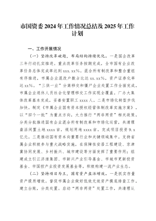市国资委2024年工作情况总结及2025年工作计划
