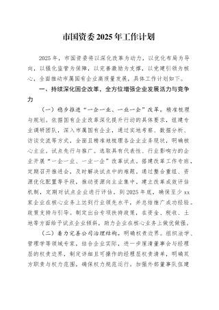 市国资委2025年工作计划