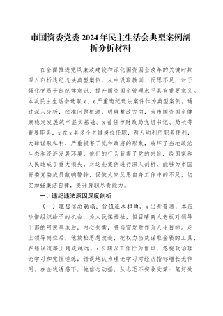 市国资委党委2024年民主生活会典型案例剖析分析材料