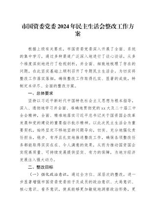 市国资委党委2024年民主生活会整改工作方案