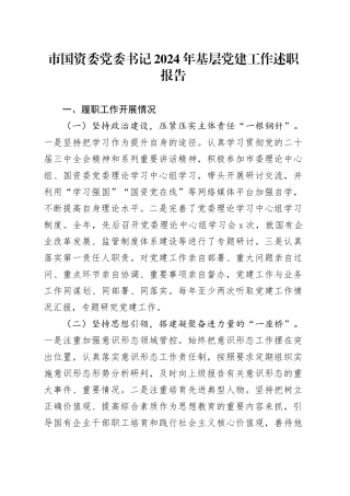 市国资委党委书记2024年基层党建工作述职报告20241127