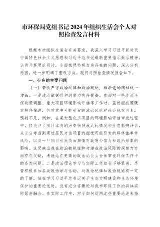 市环保局党组书记2024年组织生活会个人对照检查发言材料