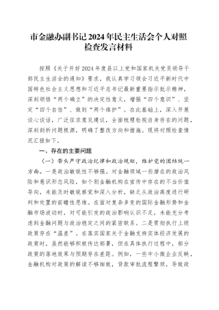 市金融办副书记2024年民主生活会个人对照检查发言材料