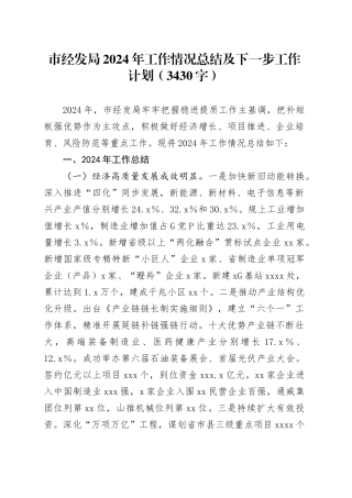 市经发局2024年工作情况总结及下一步工作计划（3430字）
