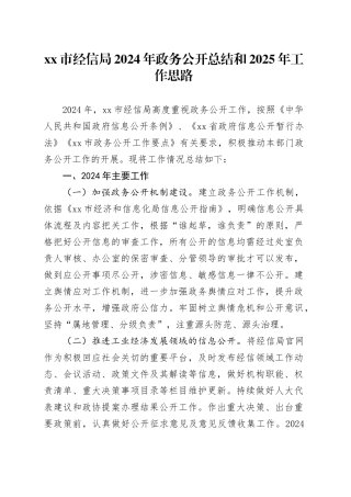 市经信局2024年政务公开总结和2025年工作思路