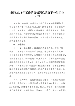 市局2024年工作情况情况总结及下一步工作计划