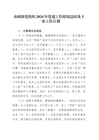 市两新党组织2024年党建工作情况总结及下一步工作计划