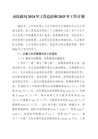 市民政局2024年工作总结和2025年工作计划