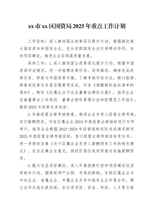 市区国资局2025年重点工作计划