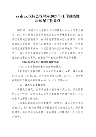 市区应急管理局2024年工作总结暨2025年工作要点