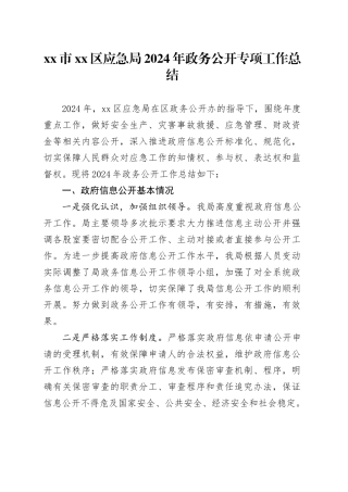 市区应急局2024年政务公开专项工作总结