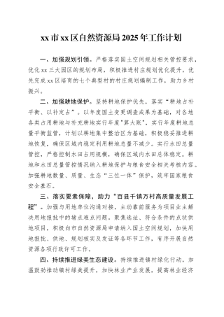 市区自然资源局2025年工作计划