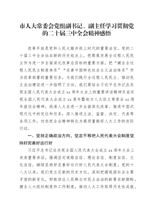 市人大常委会党组副书记、副主任学习贯彻党的二十届三中全会精神感悟