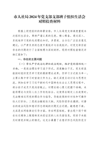 市人社局2024年党支部支部班子组织生活会对照检查材料