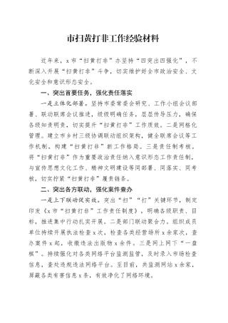 市扫黄打非工作经验材料总结汇报报告20241113