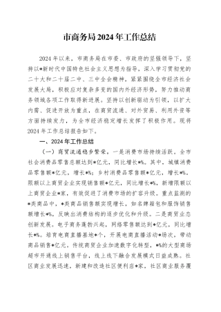 市商务局2024年工作总结
