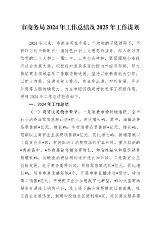 市商务局2024年工作总结及2025年工作谋划